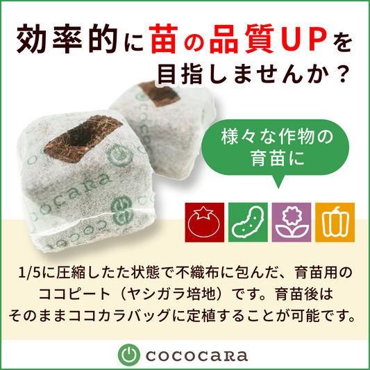 ココカラキューブ