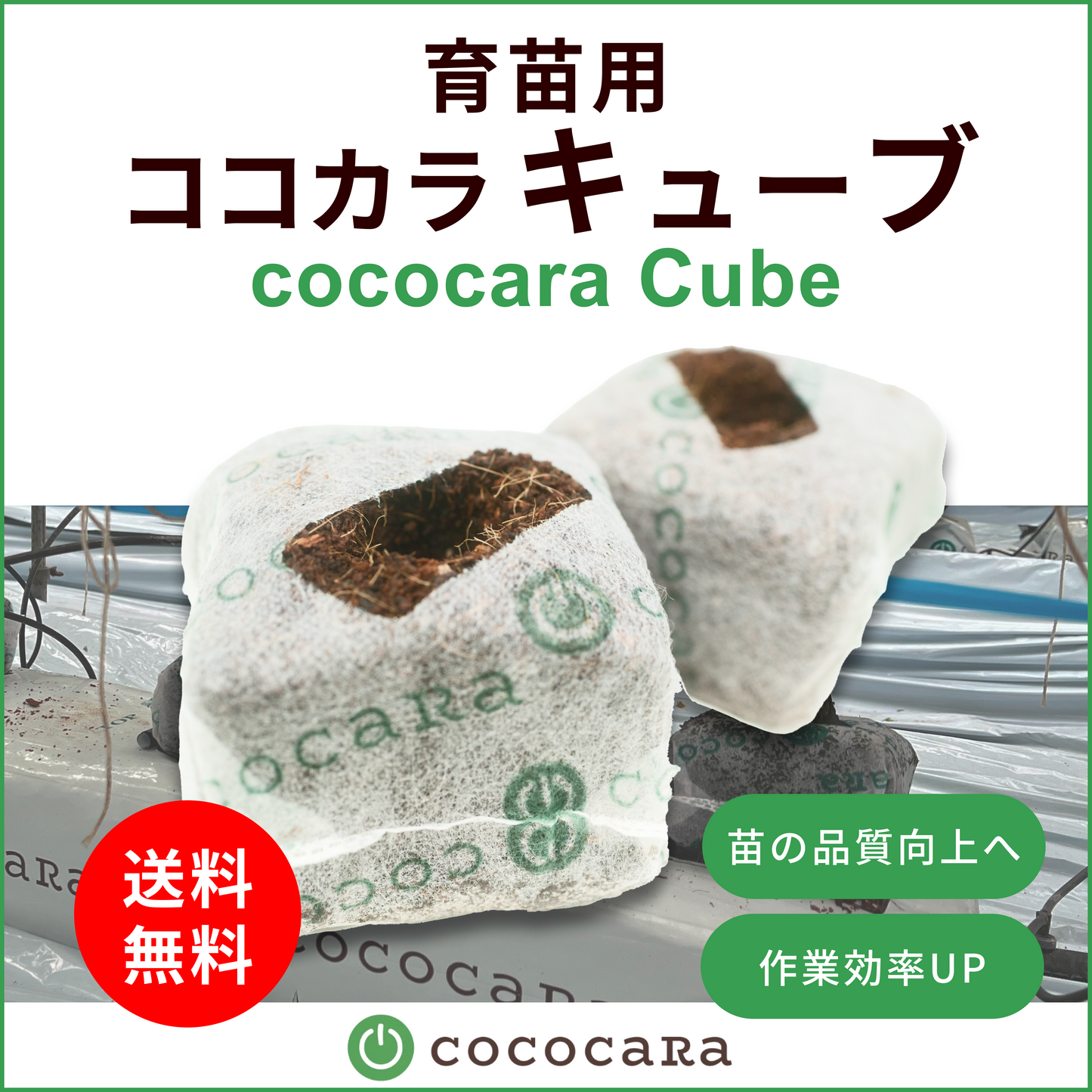 ココカラキューブ