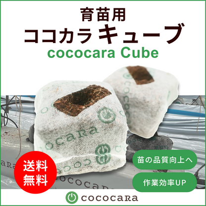 ココカラキューブ