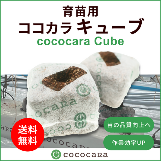 ココカラキューブ