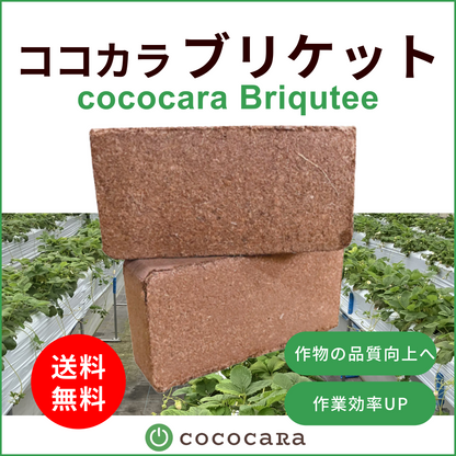 ココカラブリケット