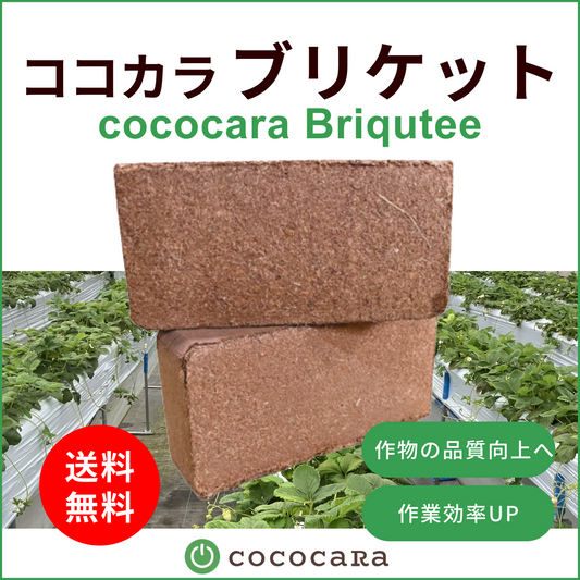 ココカラブリケット