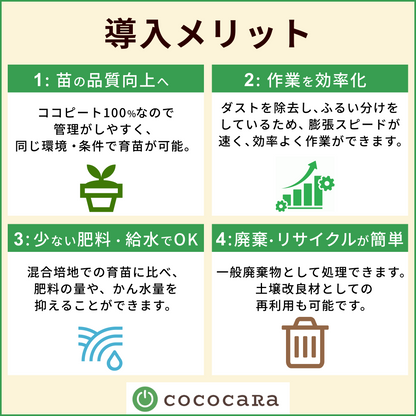 ココカラキューブ
