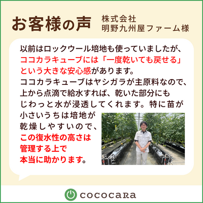 ココカラキューブ