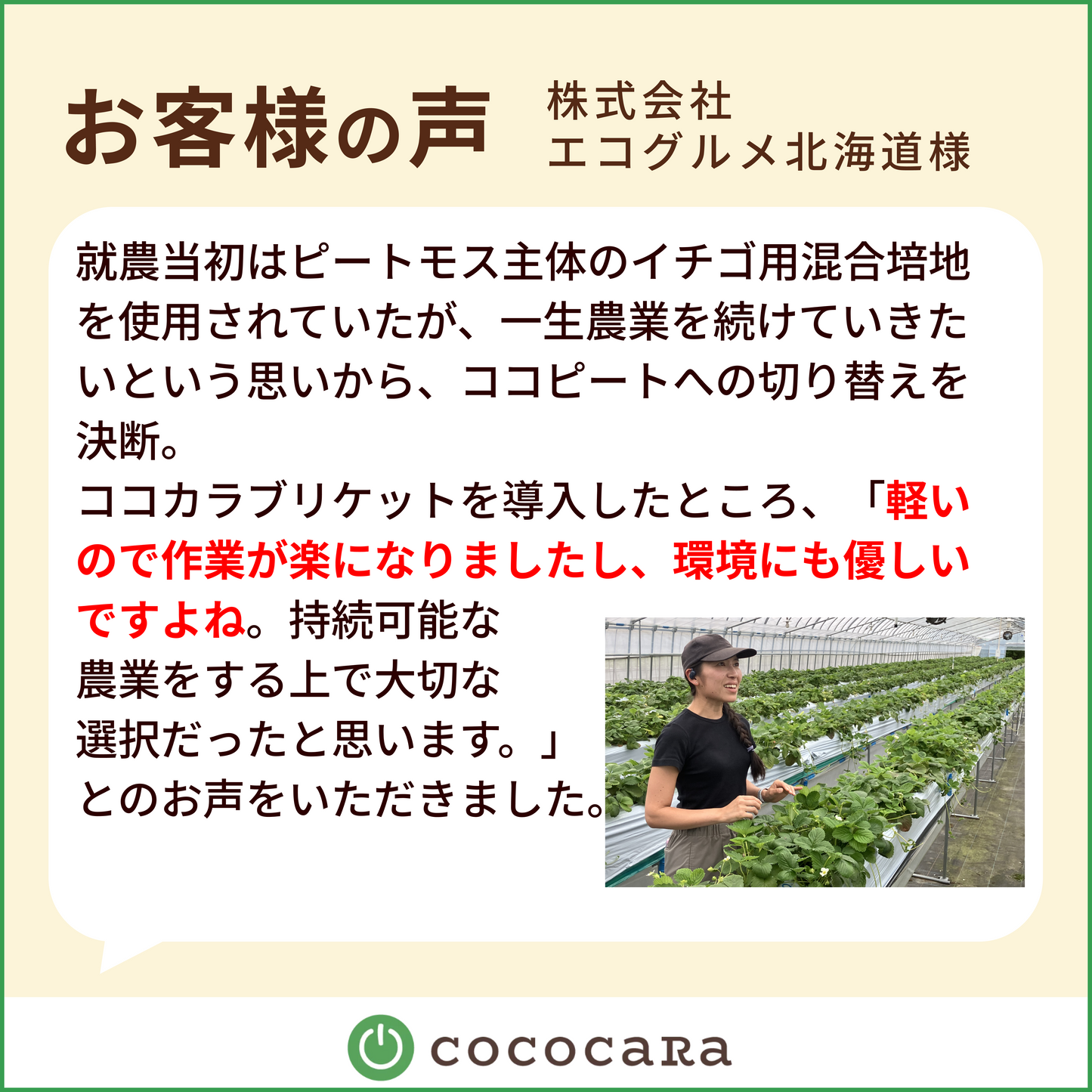 ココカラブリケット