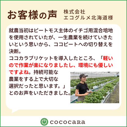 ココカラブリケット